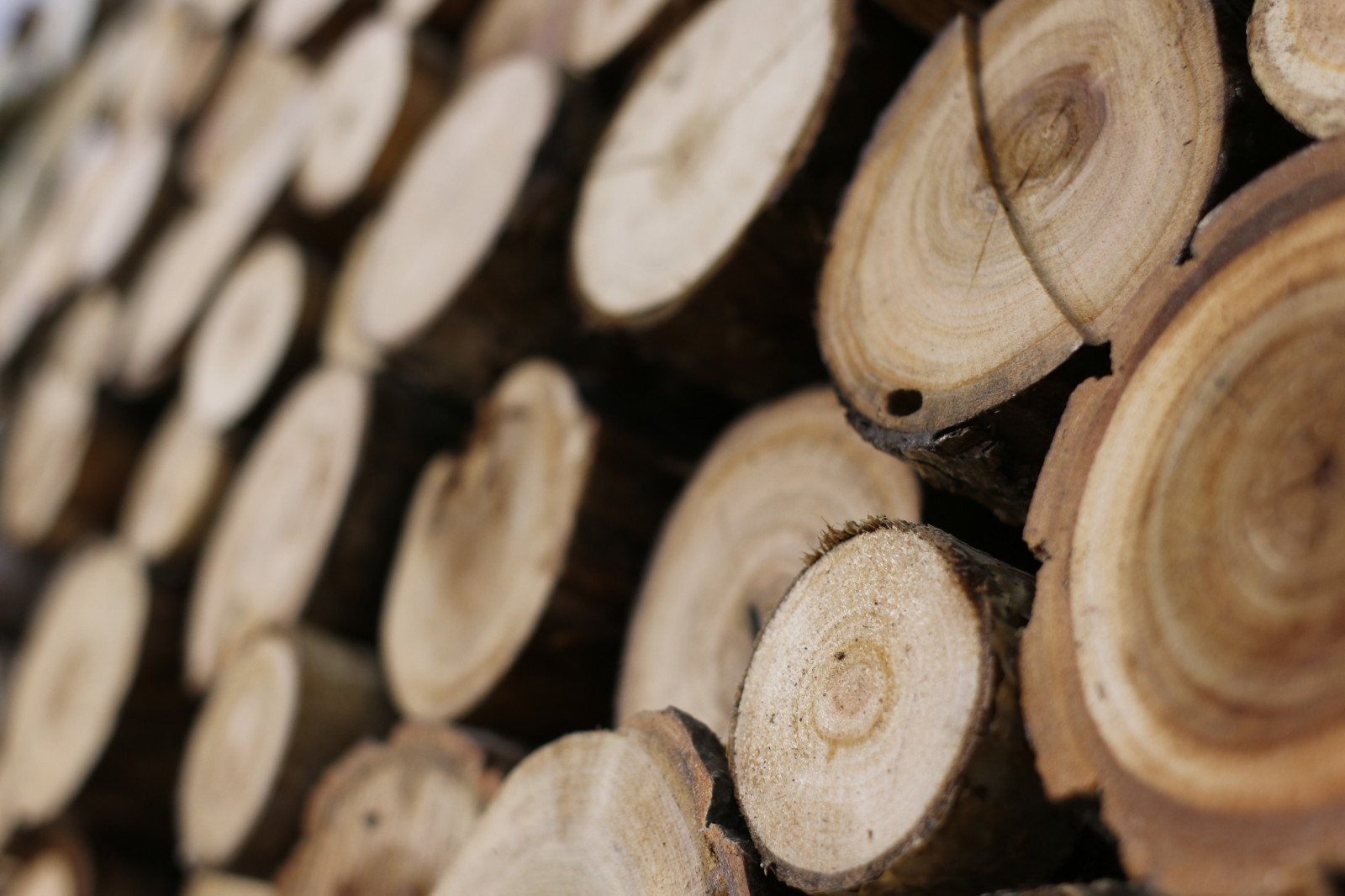 Гостевой дом в загородном доме.