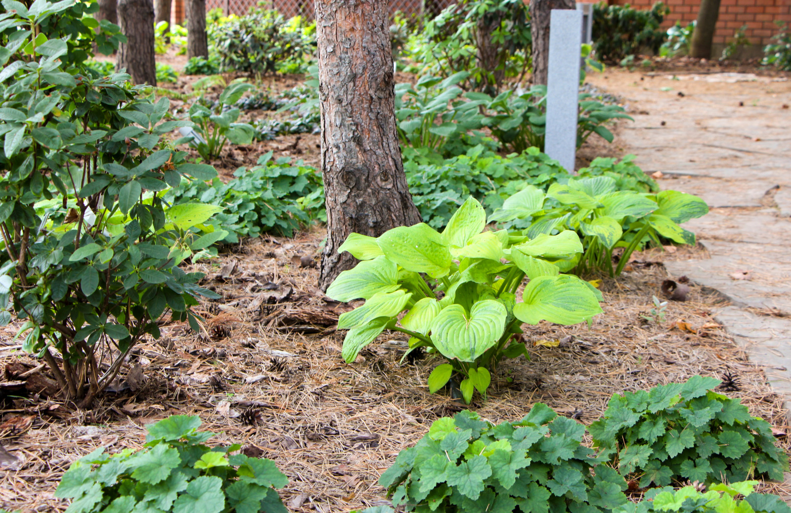 Долгопрудный, 2020 г.