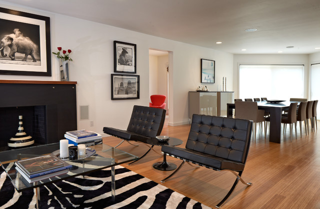 Jan Albert Design contemporary-living-room