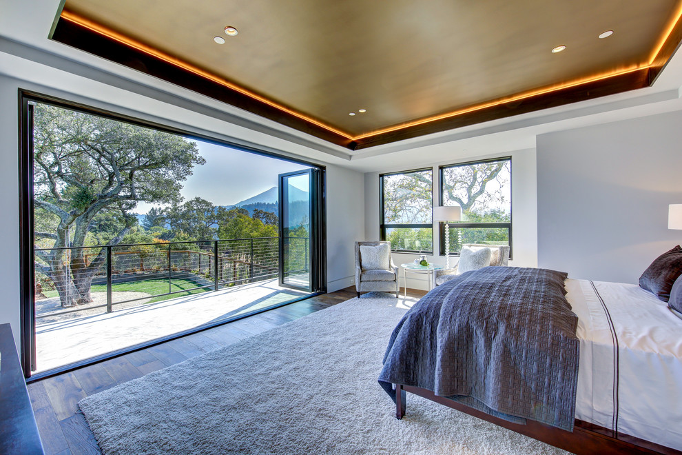Expansive contemporary master bedroom in San Francisco with white walls and dark hardwood floors.