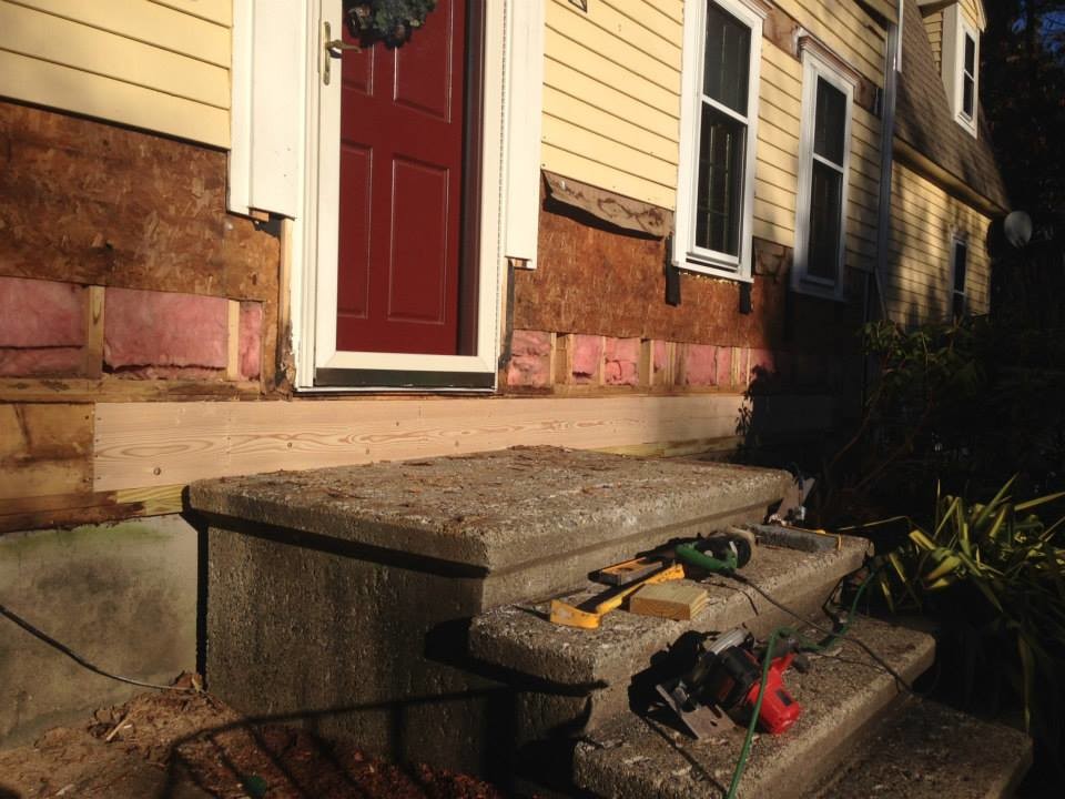 Westford, MA Ant Damage and Water Damage