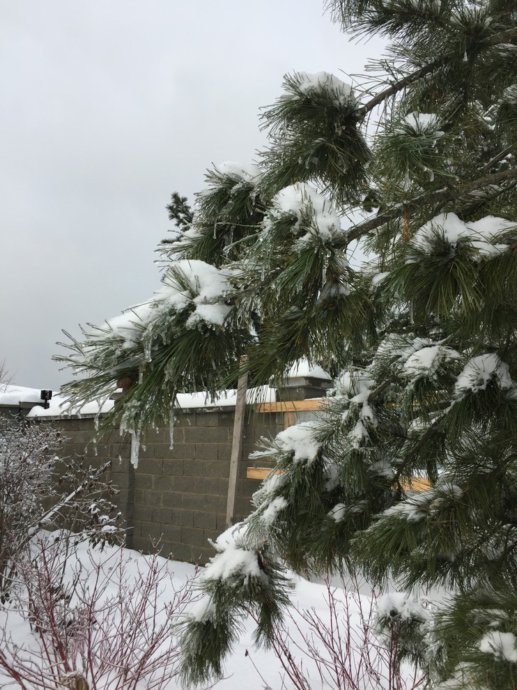 Зимние объекты