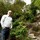 David McMahon