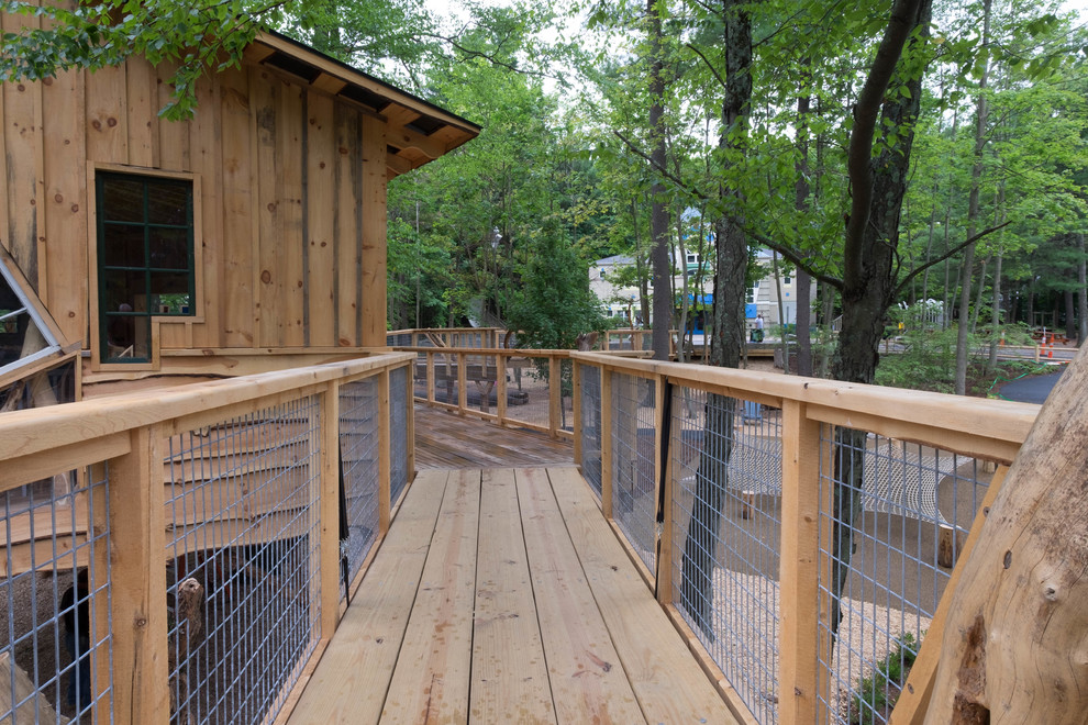 Discovery Woods