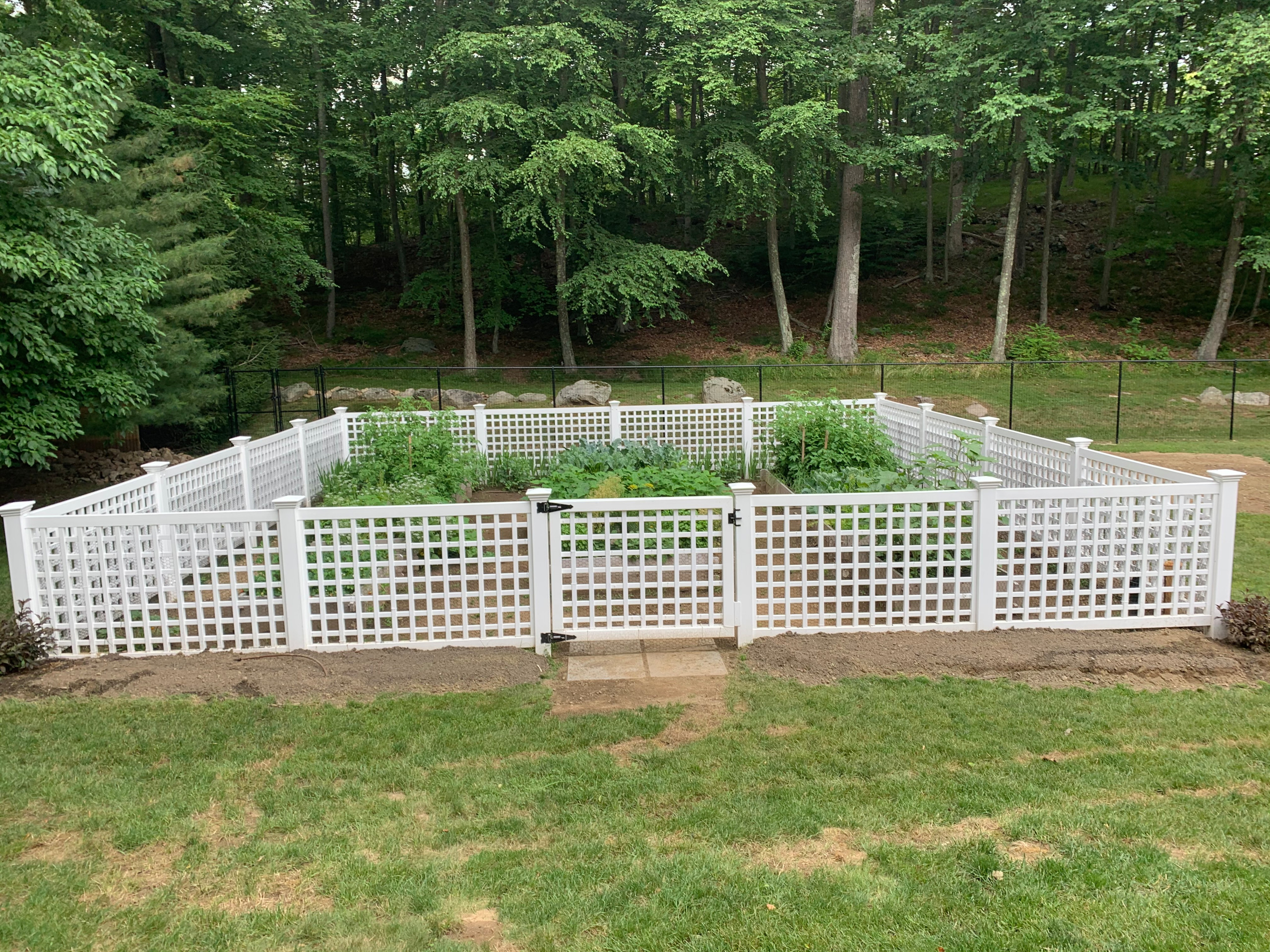 Completed Vegetable Garden