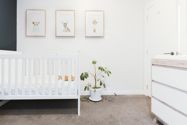 Flooring Projects bebe