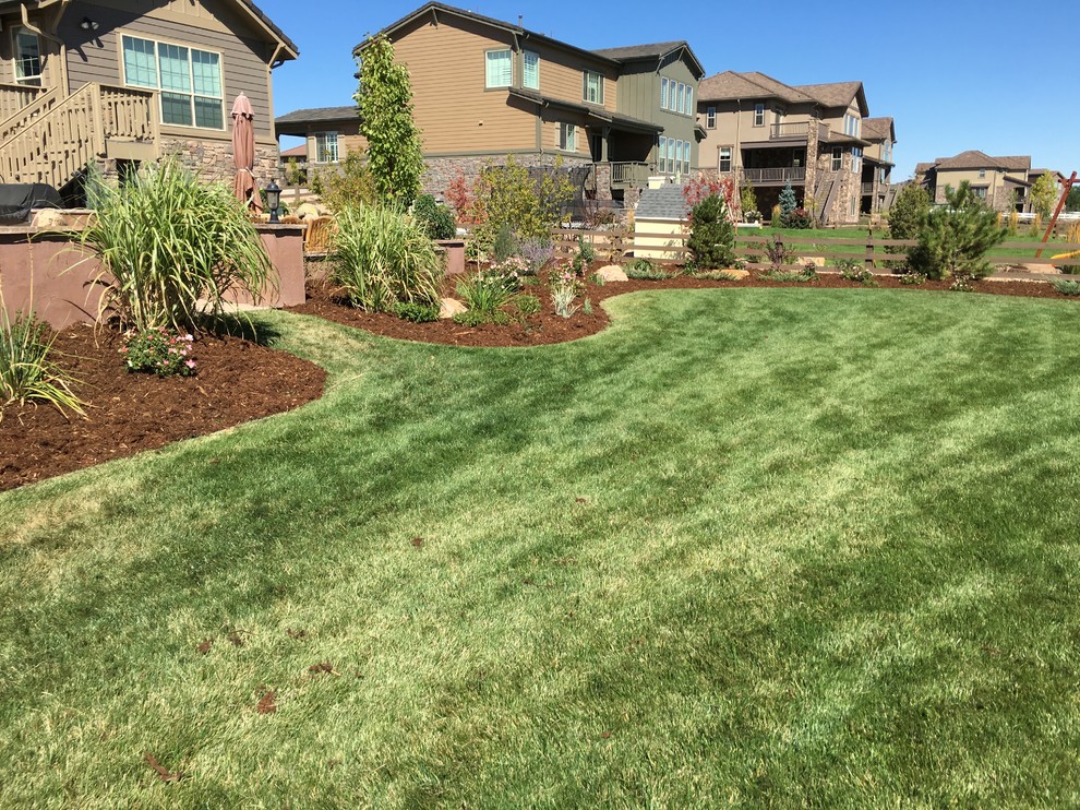 This is an example of a large traditional backyard full sun xeriscape in Denver with mulch.