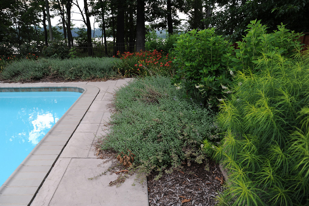 Inspiration for a traditional landscaping in Baltimore.