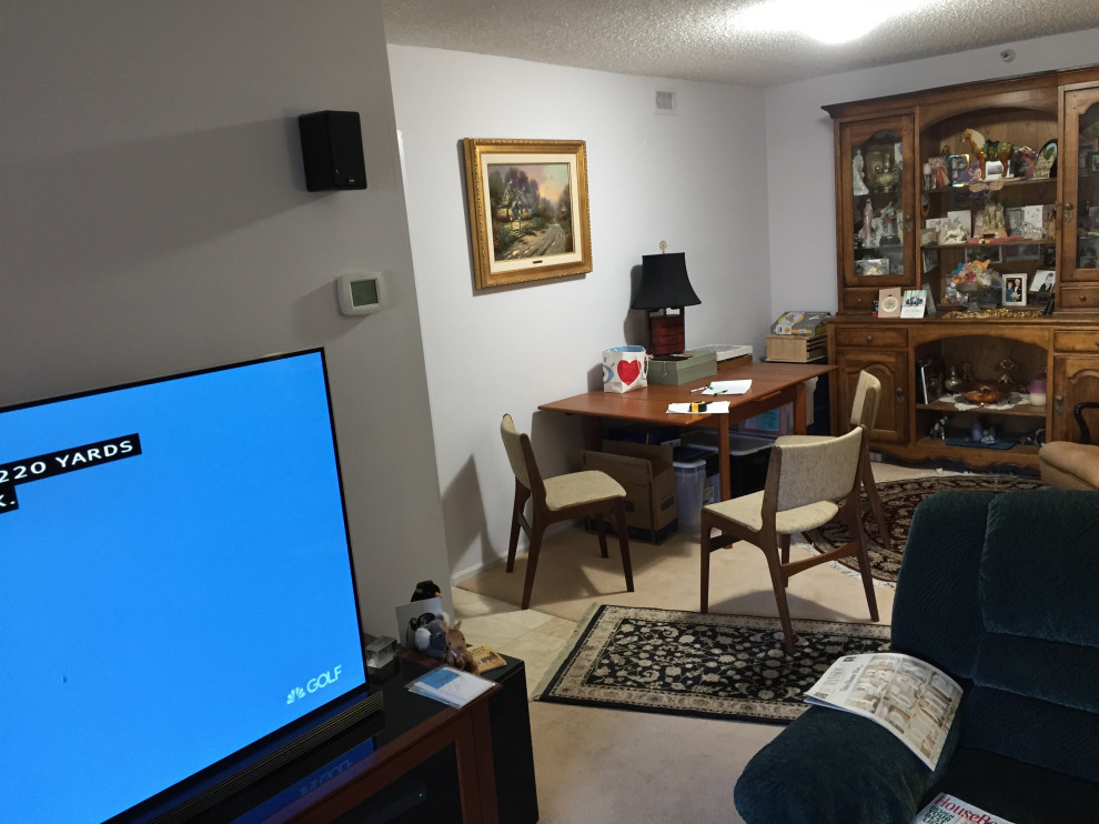 BEFORE - Rosslyn condo