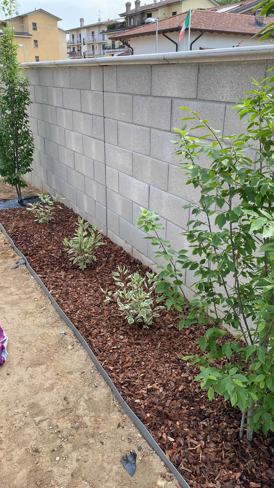 Realizzazione Giardino per villa moderna