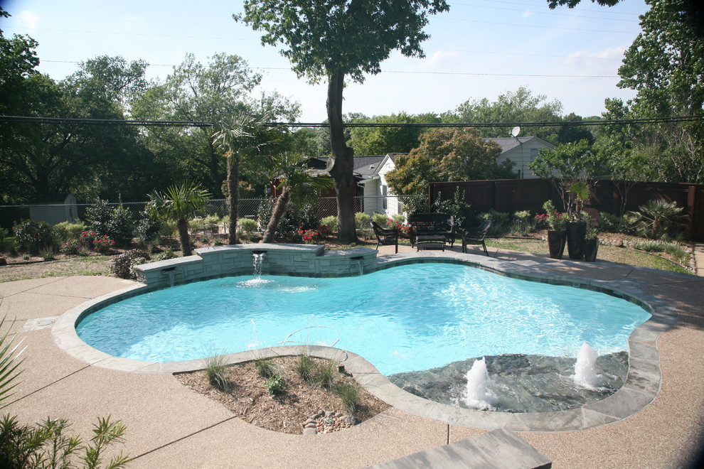 Freeform Pool Designs - Pool - Dallas - by Fort Worth Custom Pools