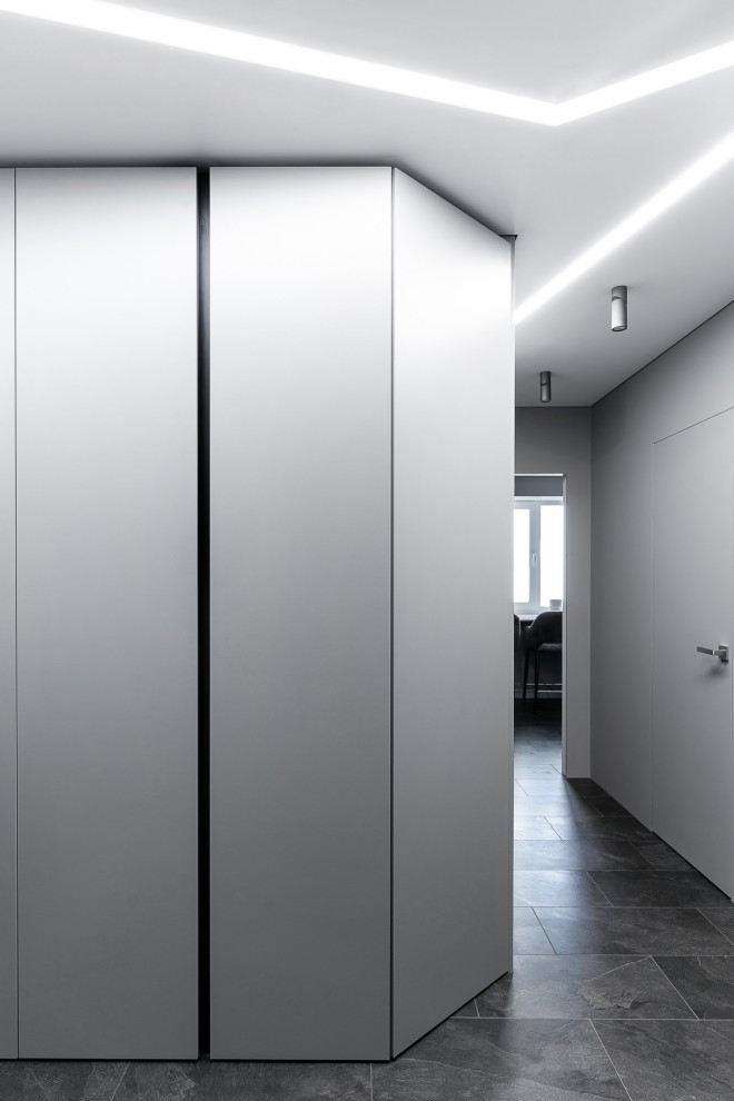 Стильный дизайн: входная дверь среднего размера: освещение в современном стиле с серыми стенами, полом из винила, одностворчатой входной дверью, входной дверью из дерева среднего тона, черным полом и панелями на стенах - последний тренд