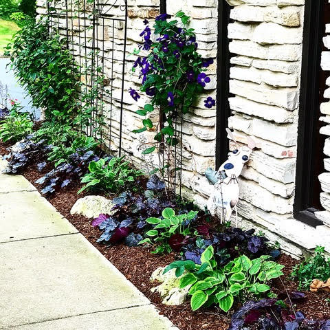 My Shade Garden Designs