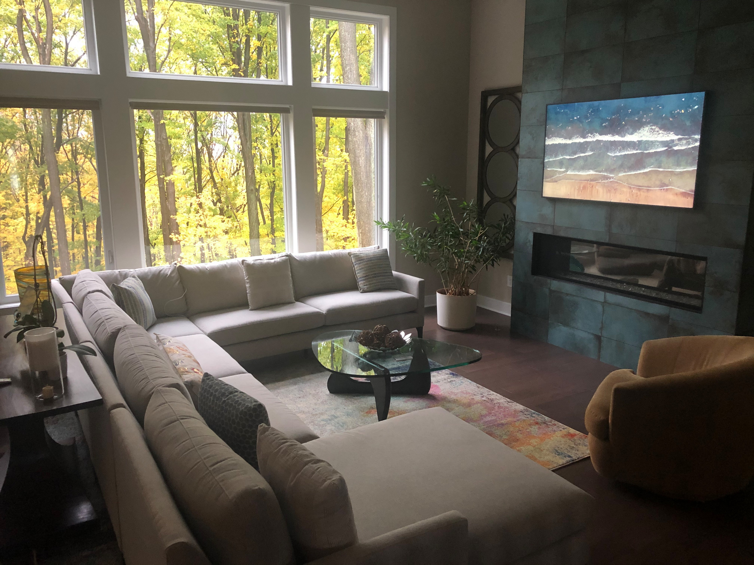 Wall Mounted TV's and Sonos