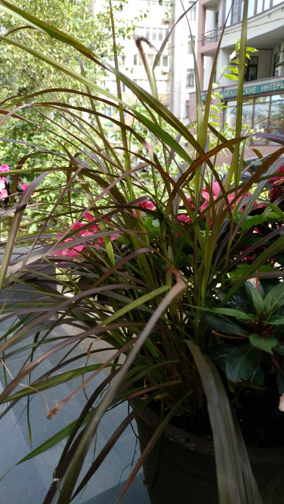 Салон красоты