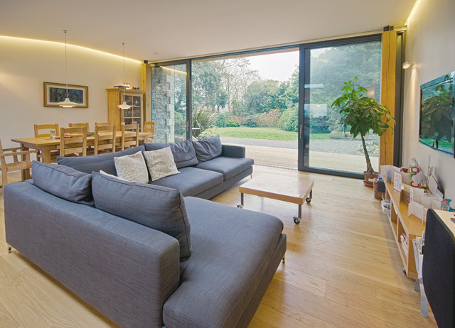Plunch Lane contemporary-living-room
