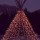 Last commented by n2tropicals