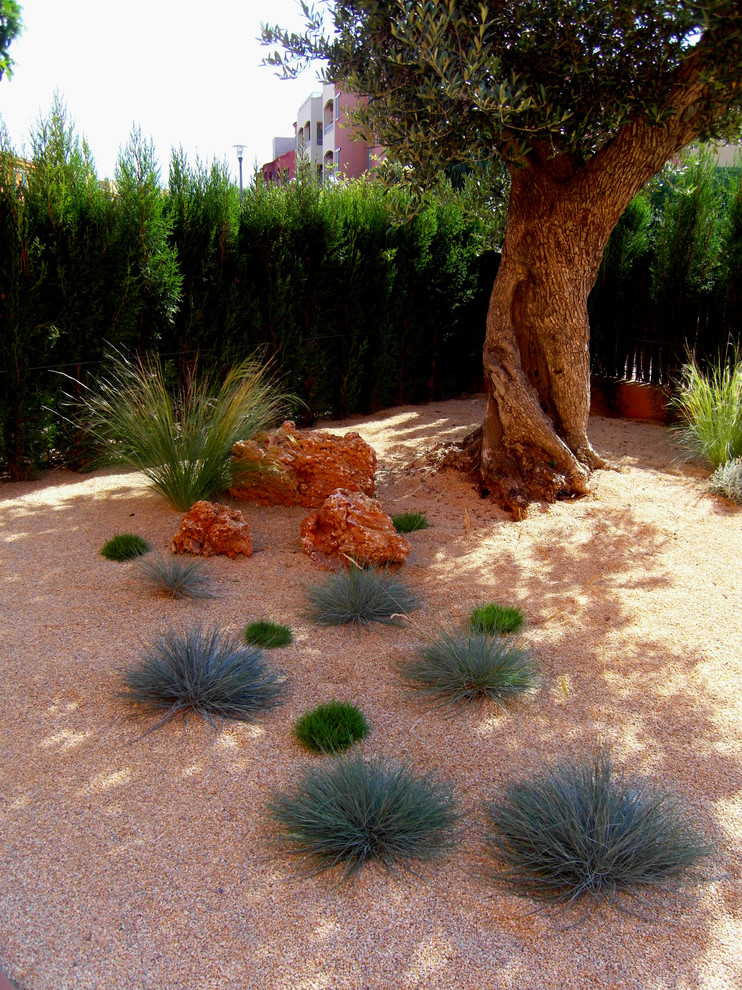 Photo of a mediterranean garden in Barcelona.