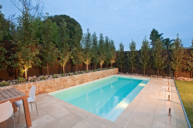 Classic family pool and landscape trendy-pool