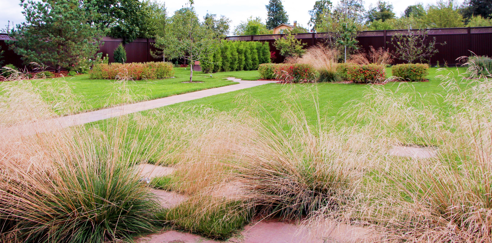 Петровское, 2018-2020 гг.