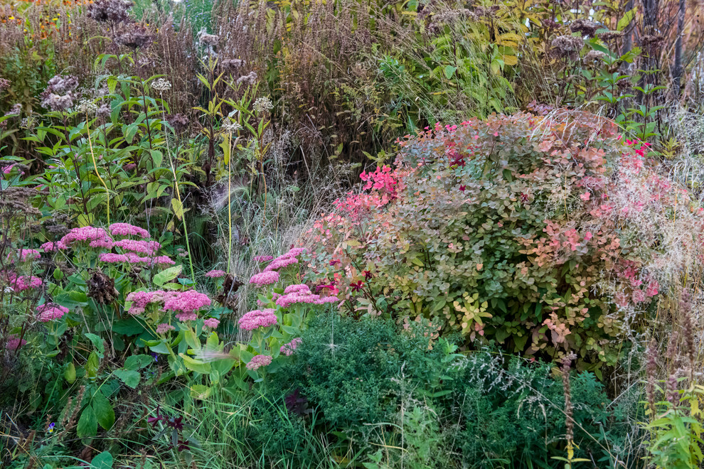 Большой сад в пригороде