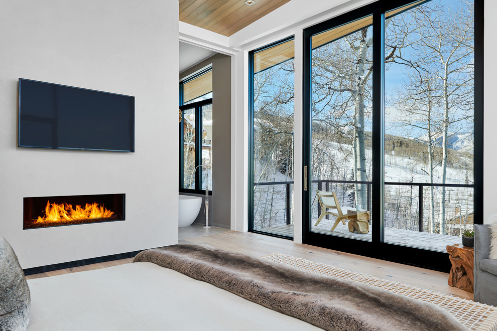 Photo of a mid-sized contemporary master bedroom in Denver with light hardwood floors, a standard fireplace, a plaster fireplace surround, white walls and grey floor.