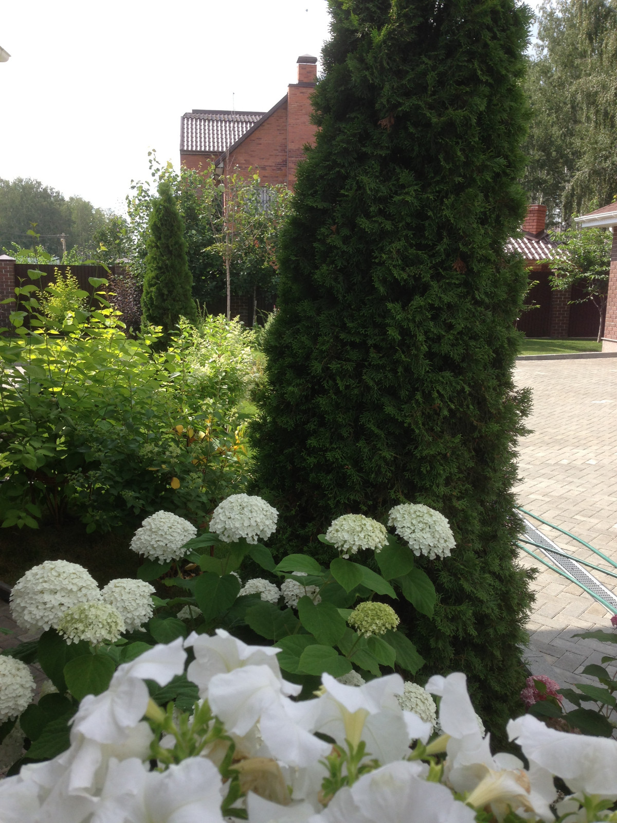 Вавиловец 1