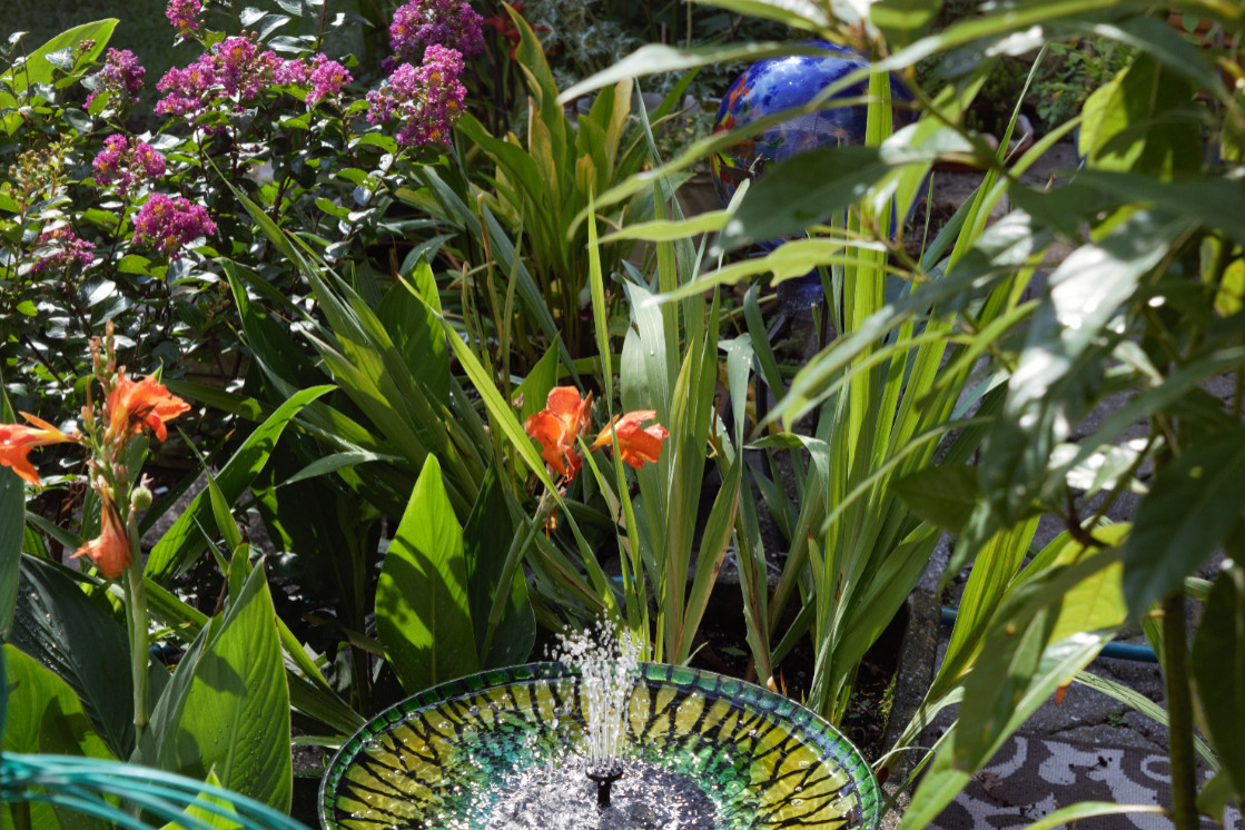 Cottage Gardens