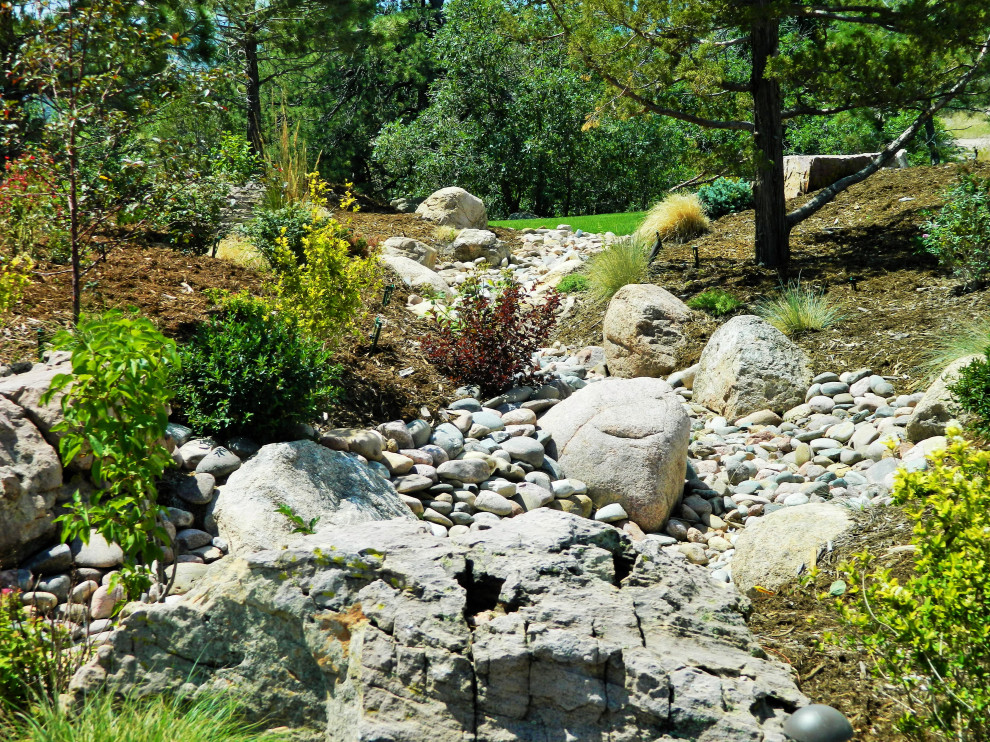Photo of a mid-sized contemporary backyard full sun xeriscape in Denver with with rock feature.