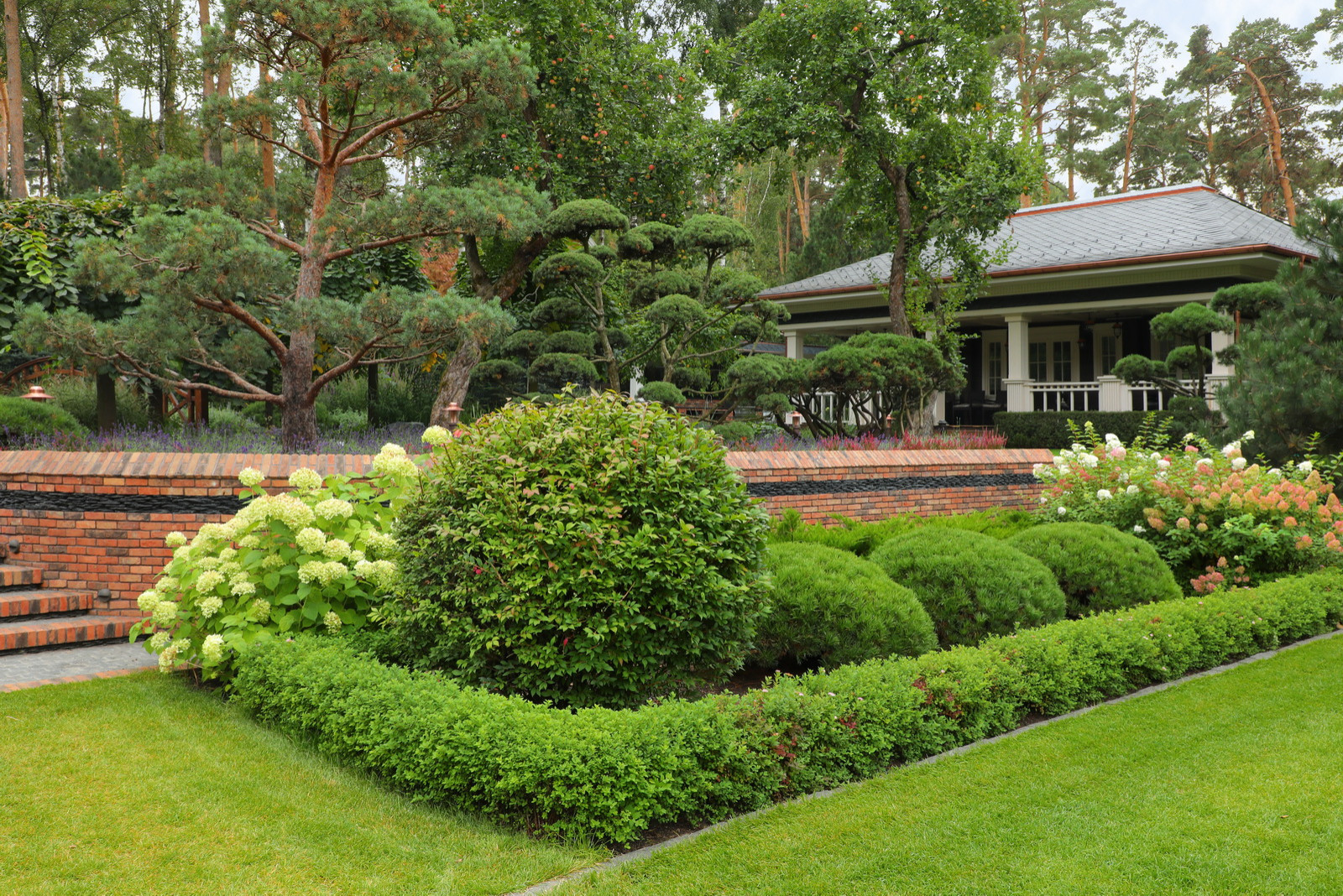 Коттеджный сад в Барвихе (дизайн и исполнение компании "Imperial Garden")