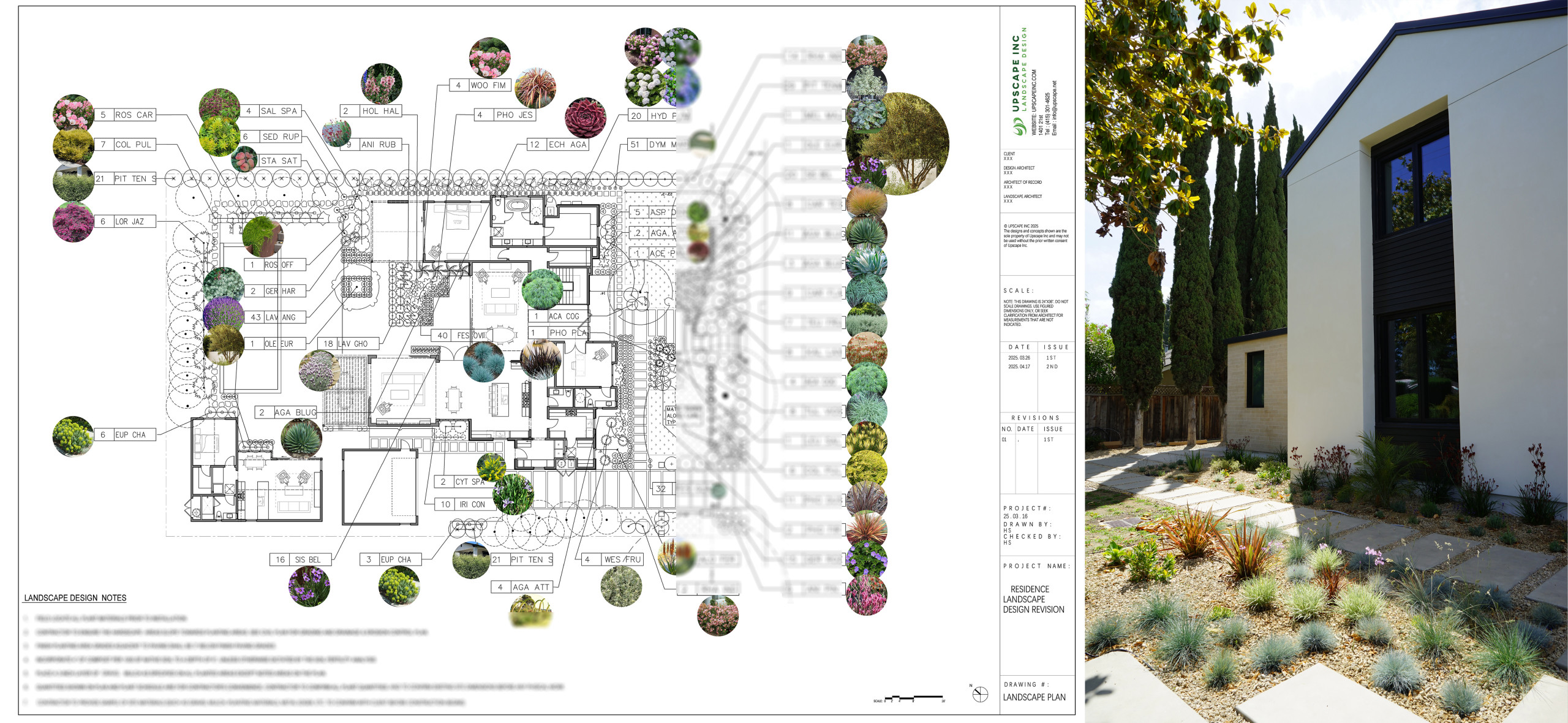 Landscape Design