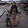 annamarie_defeo