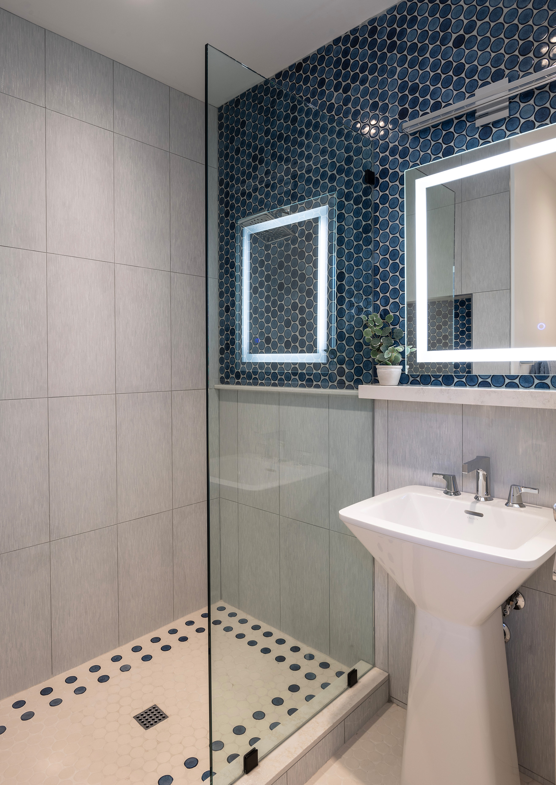 Fountain Hills Remodel
