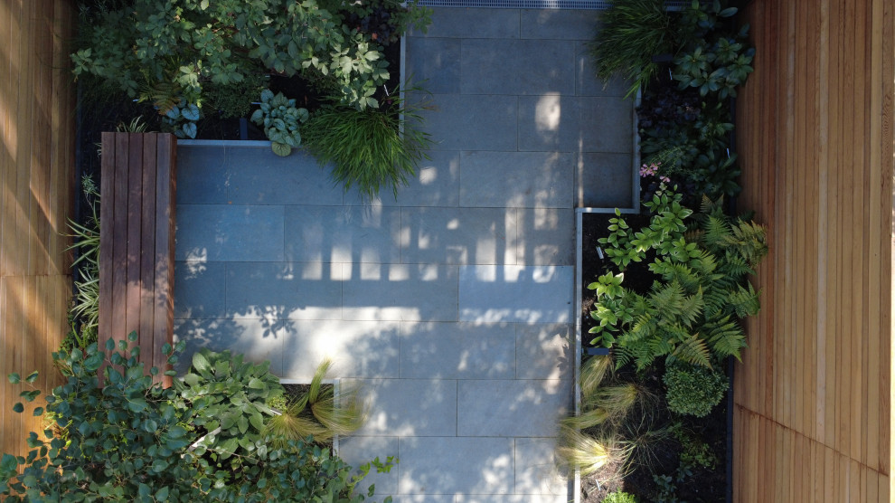 Carroll Gardens Modern