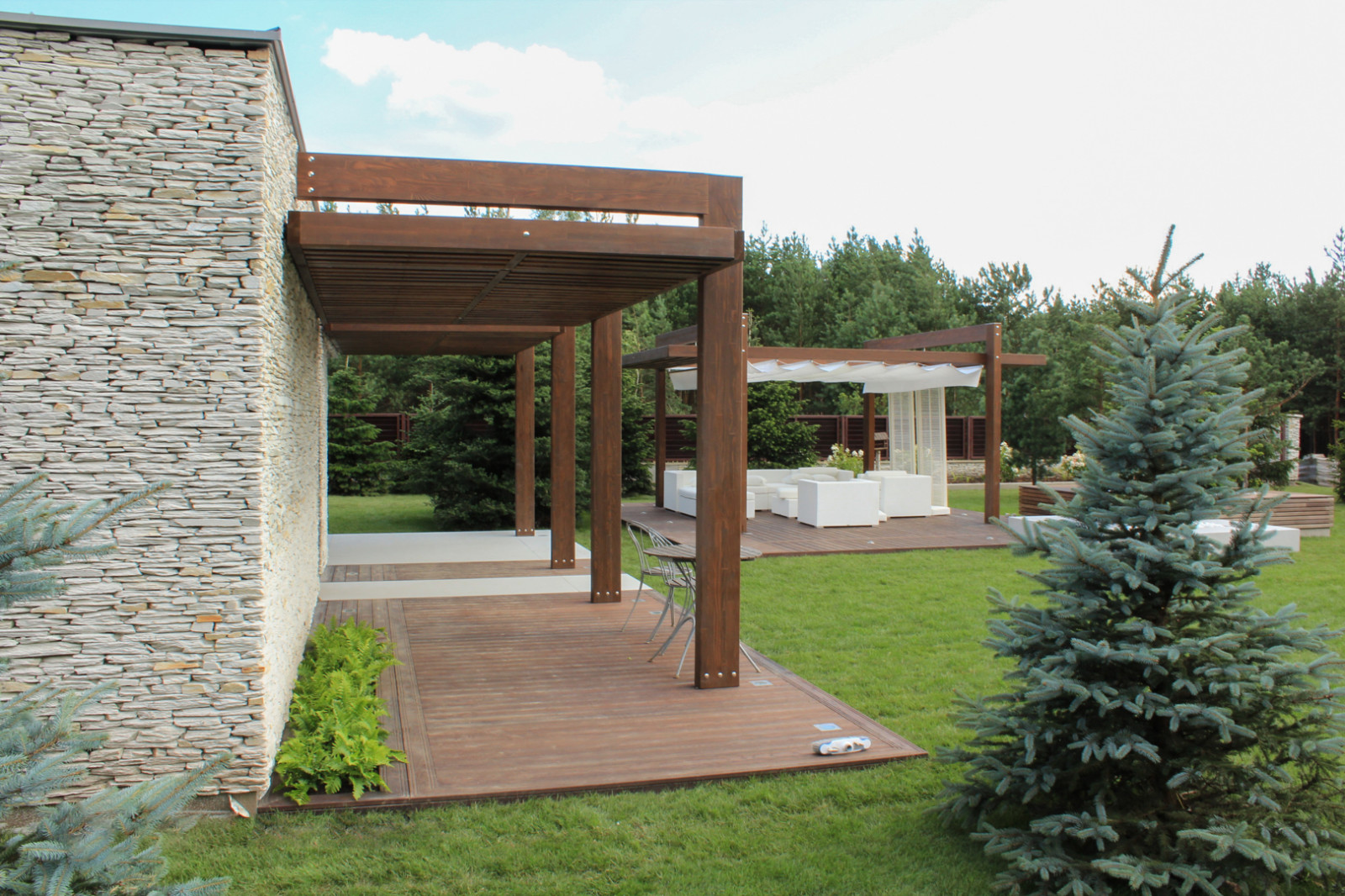 Черноголовка