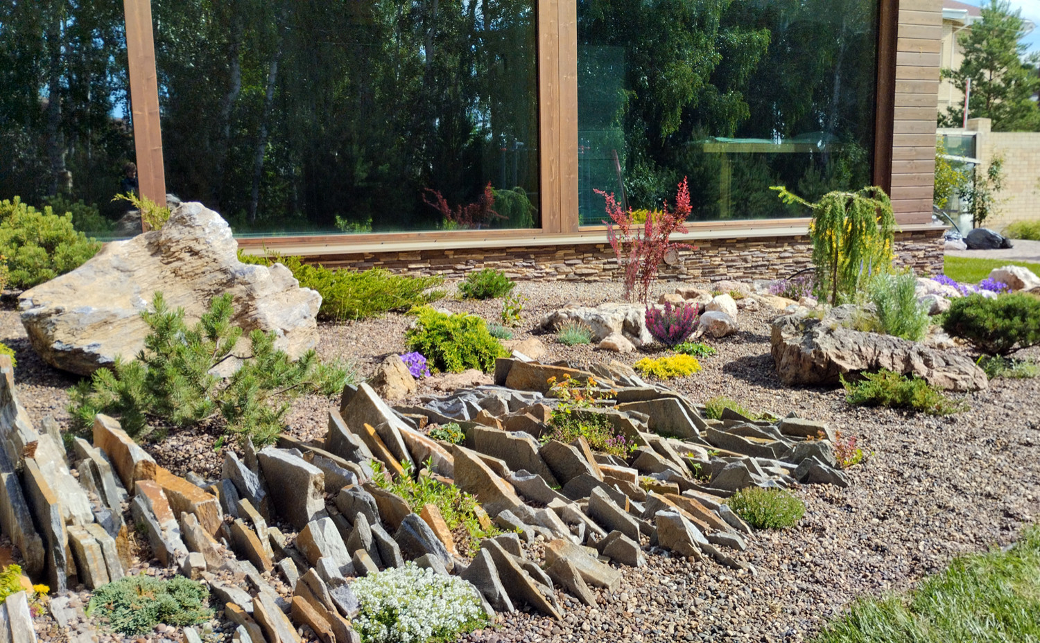 Проект лесного участка "Скалки"