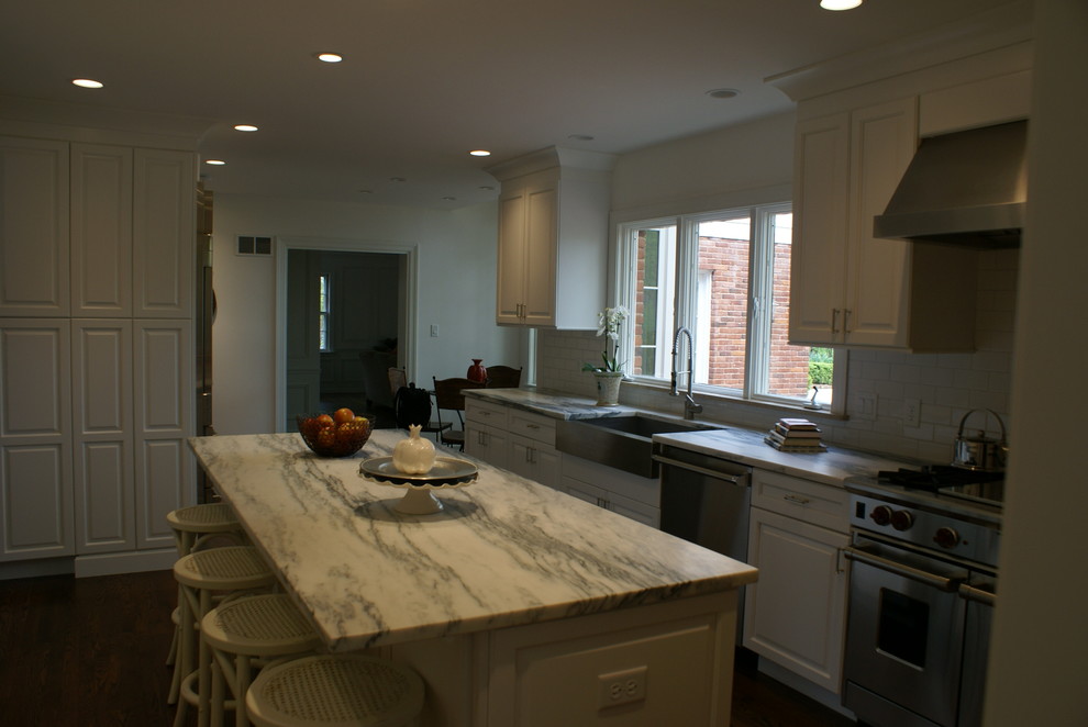 Kitchen - transitional kitchen idea in Chicago