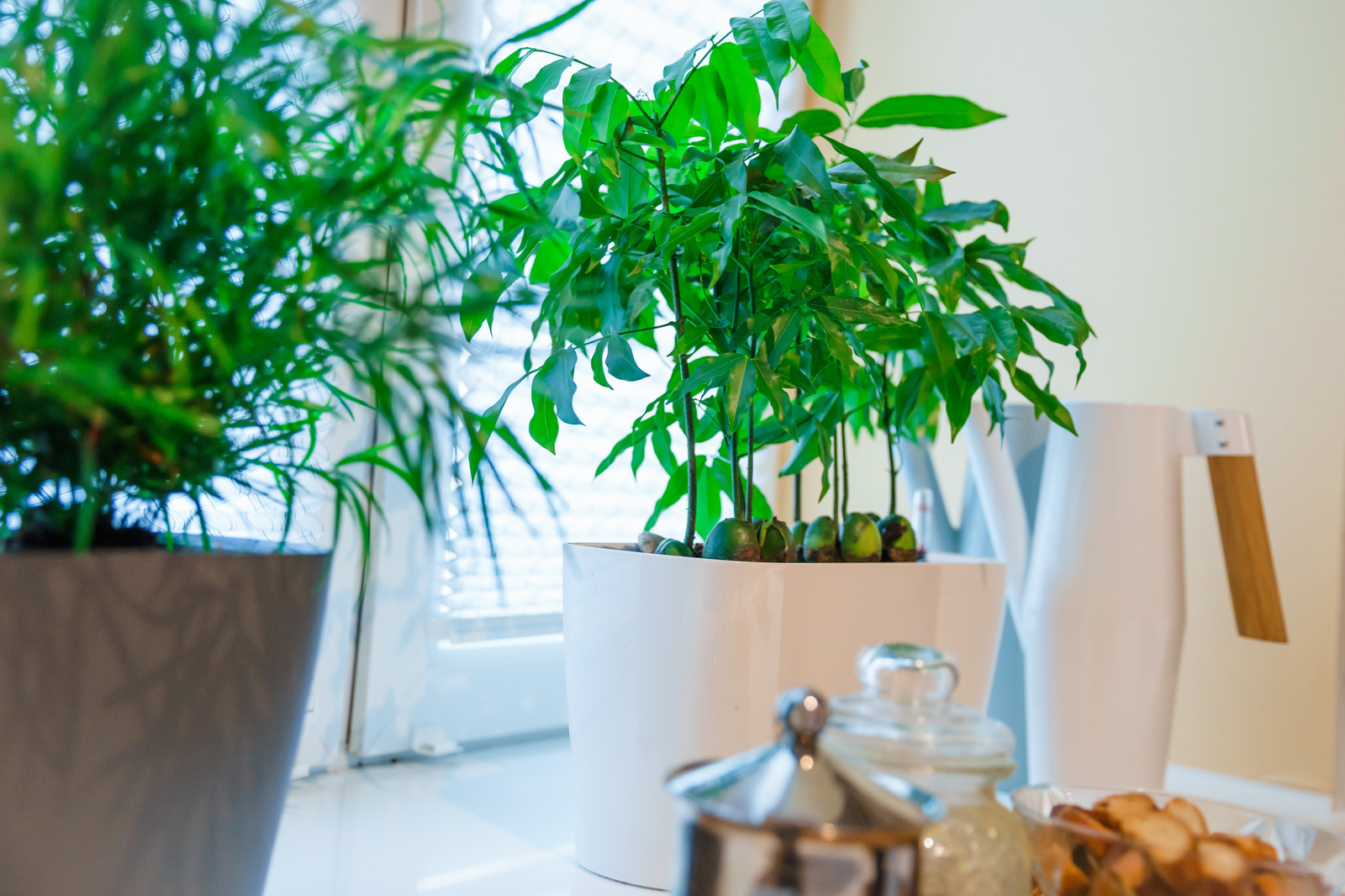 ЖК Ладожский парк