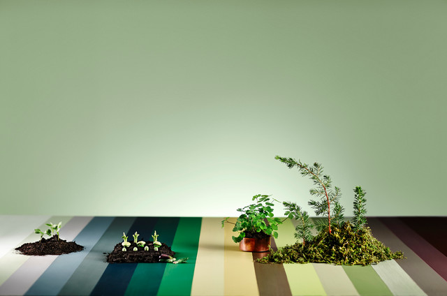 Dulux 2015 Colour Forecast 