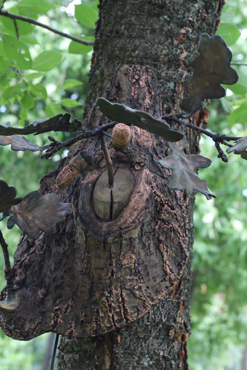 Освещение из живых цветов и растений от Натали Новак