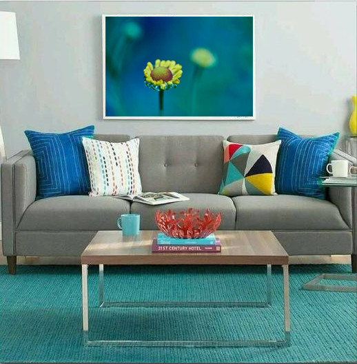 Фотографии -постеры в интерьере