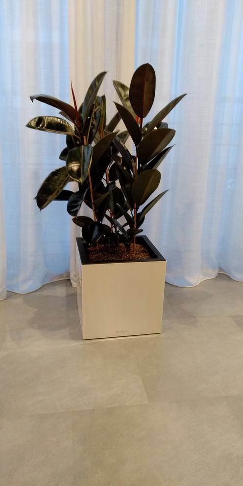 Частные аппартаменты