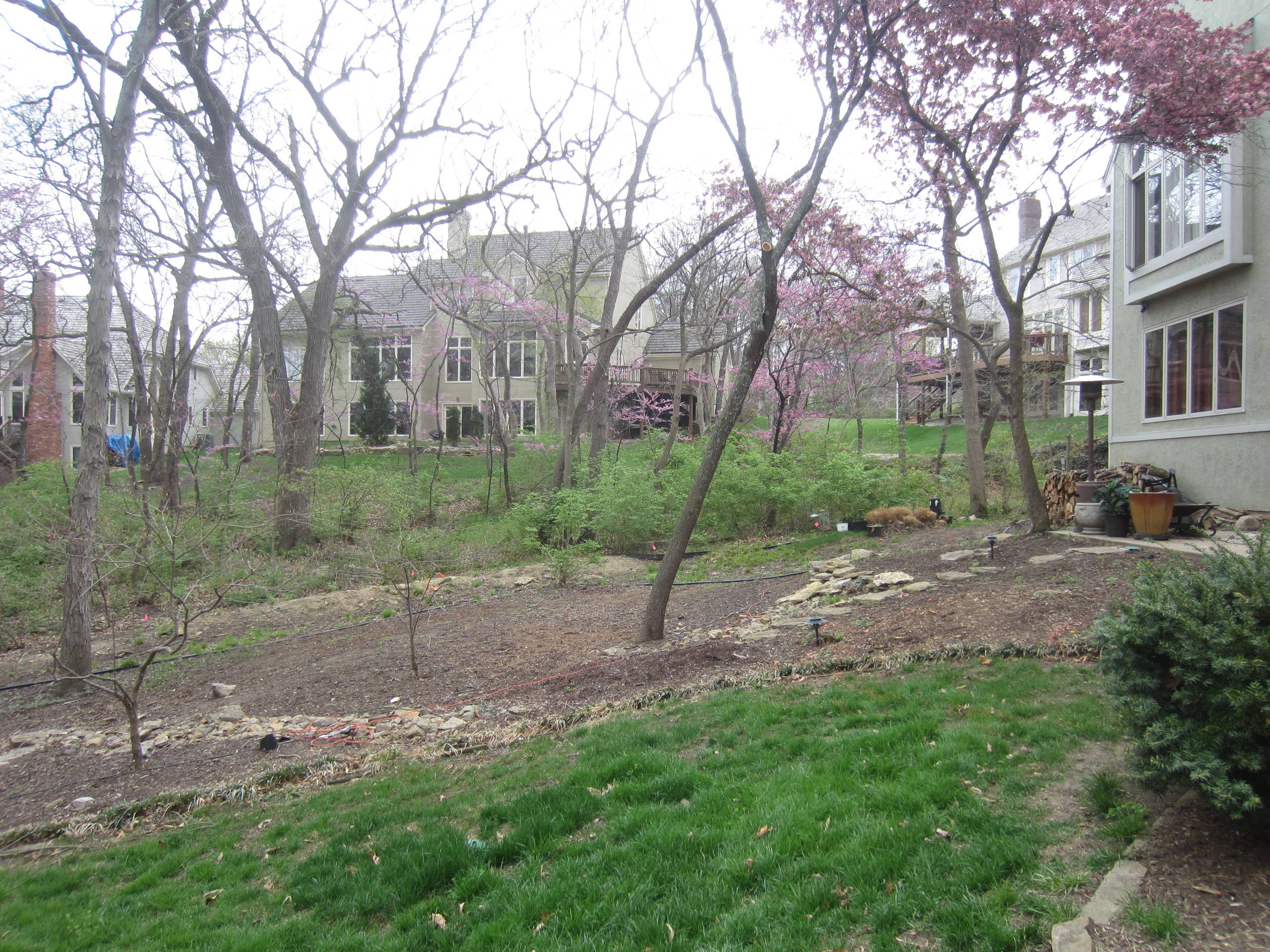WOODLAND HILLSIDE