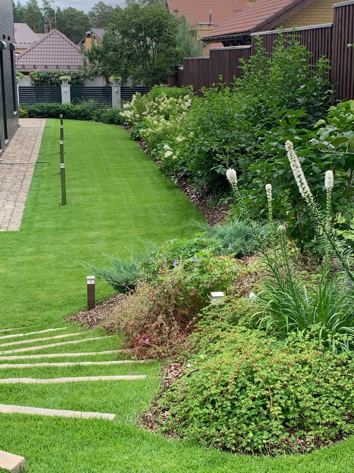 Золотой карп