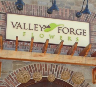 Valley Forge Flowers Project Photos