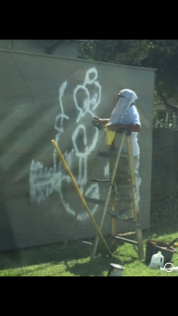 Graffiti Removal Hardie Panels