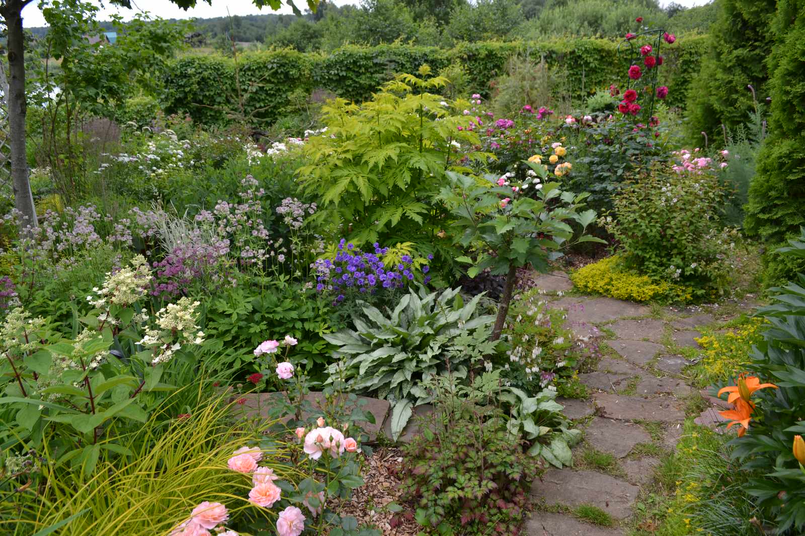 Сад  «Моя цветущая планета».