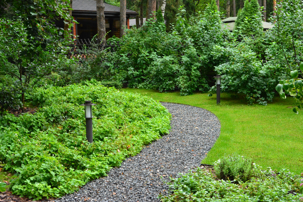 Заповедный бор