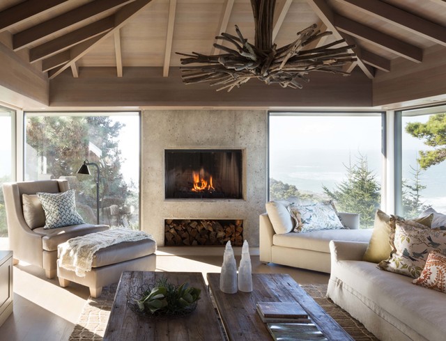 Rooms with a View contemporary-living-room