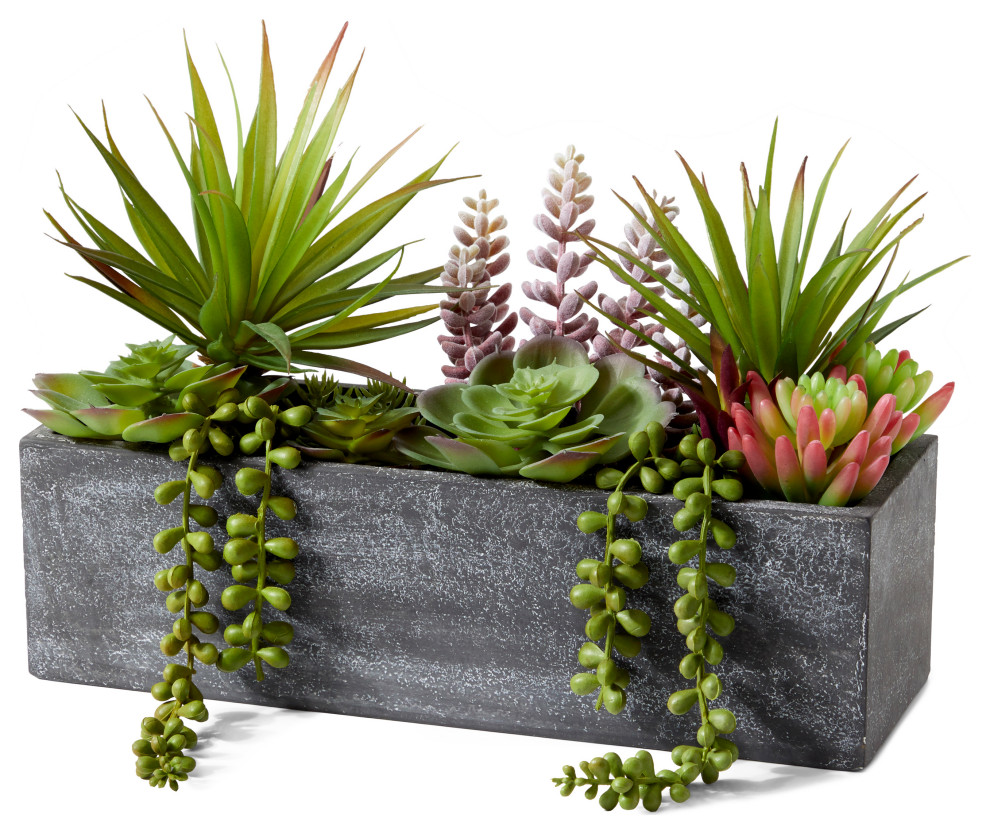 Mixed Succulents In Rectangular Planter, 12" Tropical Artificial Plants And Trees by